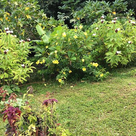 Pension Te Aroha - Te Haumaru Maatea Esterno foto